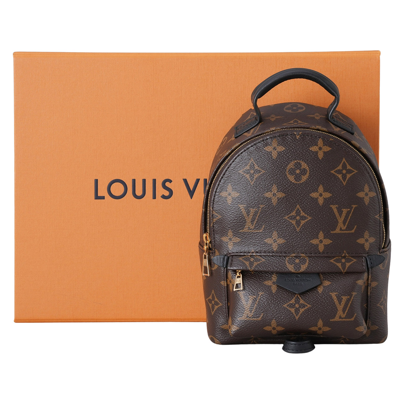 LOUIS VUITTON(USED)루이비통 M44873 팜 스프링스 미니 백팩